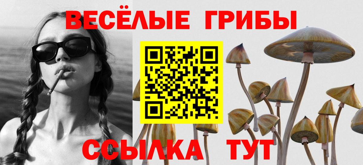 Карталы  купить  цена  Вход с VPN  Галлюциногенные грибы MAGIC MUSHROOMS 